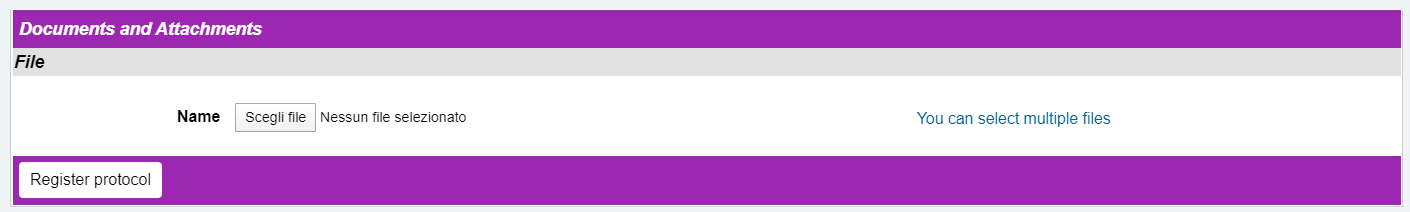 IT Protocol - Registration for Internal Protocol - Documents and Attachments